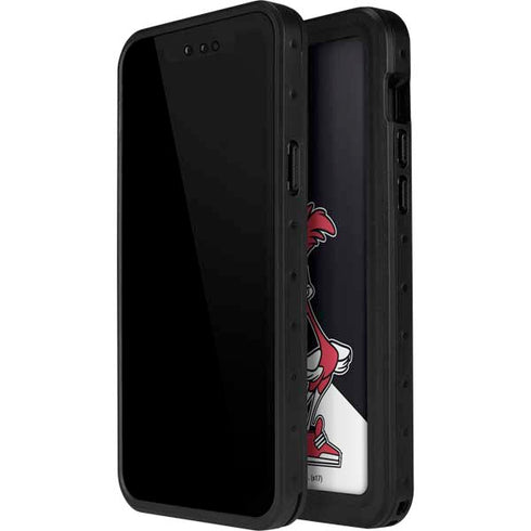 Looney Tunes Retro Road Runner iPhone 15 Pro Waterproof Case