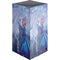 Rhiannon Fairy and Unicorn by Rachel Anderson XBox Series X Digital Edition Console Skin