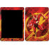 DC Comics The Flash Action Pose iPad Skins
