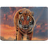 Rising Tiger by Vincent Hie Apple MacBook Air Skin