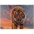 Rising Tiger by Vincent Hie Surface Laptop 7 15in Skin