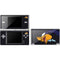 Looney Tunes Road Runner Sliced DS Lite Skin