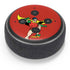 DC Comics Robin Classic Art Amazon Echo Dot Skin