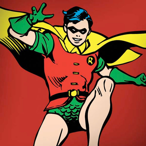 DC Comics Robin Classic Art Moto G6 Skin