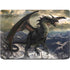 Rogue Dragon by Tom Wood Apple MacBook Air Skin