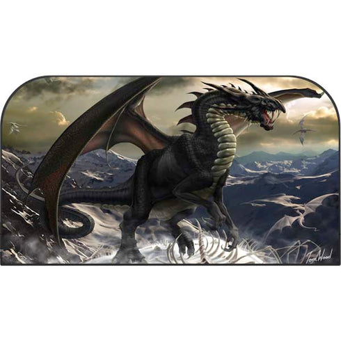 Rogue Dragon by Tom Wood Nintendo Switch 2 (2025) with Joy-Con Skin