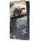 Rogue Dragon by Tom Wood PS5 Pro Console Skin