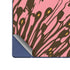 Rose Bud Floral Galaxy Z Fold6 Skin
