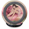 Rose Fairy by Rachel Anderson Fast Charge Wireless Charging Stand Skin