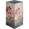 Rose Fairy by Rachel Anderson XBox Series X Digital Edition Console Skin