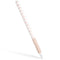 Rose Gold Herringbone Apple Pencil (2nd Gen 2019) Skin