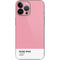 Rose Pink Color Palette iPhone 15 Pro Max Skin
