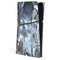 Ruth Thompson Checkmate Dragons by Ruth Thompson PS5 Slim Digital Edition Console Skin