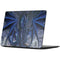 Ruth Thompson Dark Dragon by Ruth Thompson Surface Laptop 7 13.8in Skin