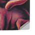 Ruth Thompson Red Dragon by Ruth Thompson PS5 Pro Disk Console Skin