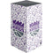 NBA Sacramento Kings History Logo Blast XBox Series X Digital Edition Console Skin