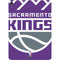 NBA Sacramento Kings Large Logo Apple iPad Air Skin