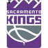 NBA Sacramento Kings Large Logo Apple iPad Air Skin