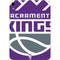 NBA Sacramento Kings Large Logo Apple iPad Mini Skin