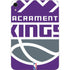 NBA Sacramento Kings Large Logo Apple iPad Mini Skin