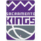 NBA Sacramento Kings Large Logo Apple iPad Pro Skin