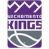 NBA Sacramento Kings Large Logo Apple iPad Pro Skin