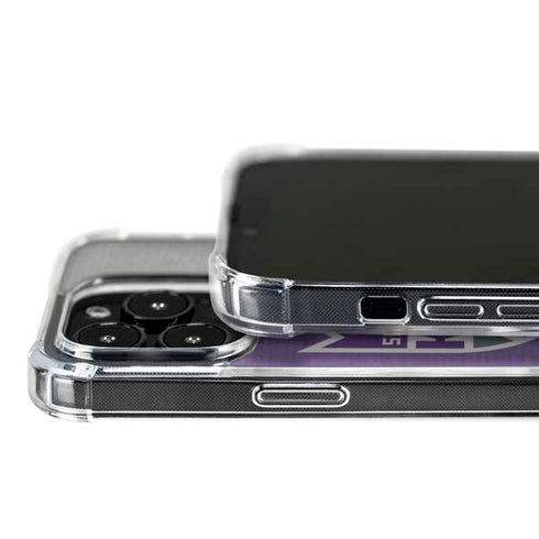 NBA Sacramento Kings Split Canvas iPhone 16 Pro MagSafe Case