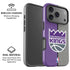 NBA Sacramento Kings Split Canvas iPhone 17 Pro Max Magsafe Impact Case