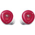 NFL San Francisco 49ers Distressed Galaxy Buds Plus Skin
