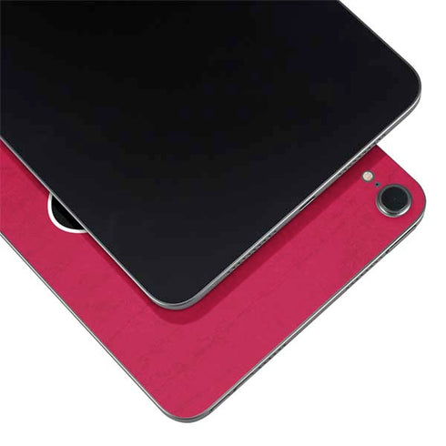 NFL San Francisco 49ers Distressed Apple iPad Mini Skin