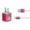 NFL San Francisco 49ers Helmet iPhone Charger (5W USB) Skin