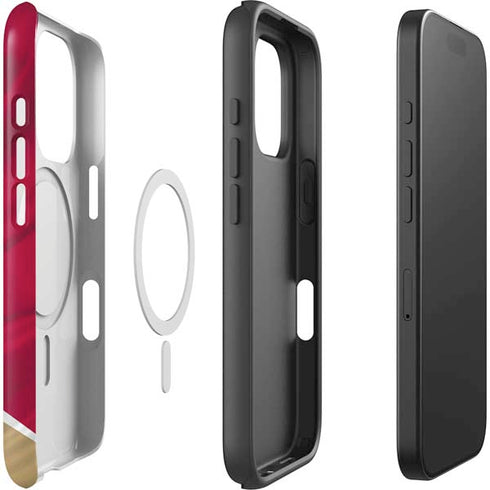 NFL San Francisco 49ers iPhone 16 Pro Magsafe Impact Case