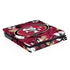 NFL San Francisco 49ers Tropical Print PlayStation PS4 Skins