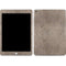 Sandstone Concrete Apple iPad Skin
