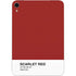 Scarlet Red Apple iPad Mini Skin