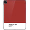 Scarlet Red iPad Pro 11in (2024) Clear Case