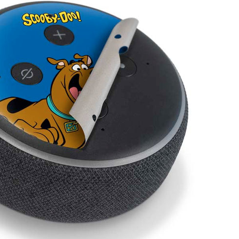 Scooby Doo Scooby-Doo Amazon Echo Dot Skin