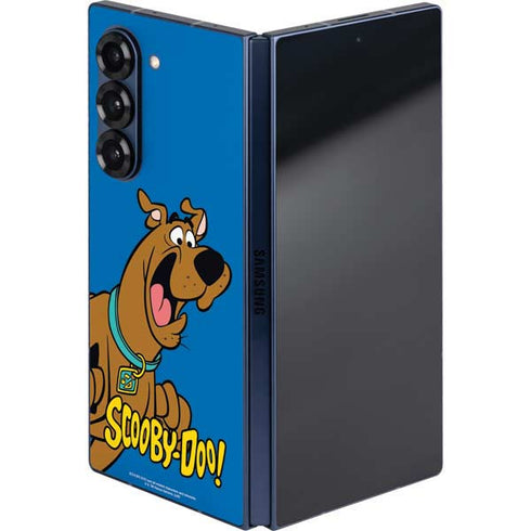 Scooby Doo Scooby-Doo Galaxy Z Fold6 Skin