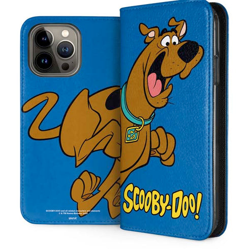 Scooby Doo Scooby-Doo iPhone Cases