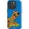 Scooby Doo Scooby-Doo iPhone 16 Pro Impact Case