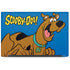Scooby Doo Scooby-Doo Dell Latitude Skin