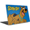 Scooby Doo Scooby-Doo Dell XPS Skin