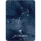 Scorpio Constellation Apple iPad Air Skin