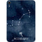 Scorpio Constellation Apple iPad Mini Skin