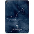 Scorpio Constellation Apple iPad Pro Skin