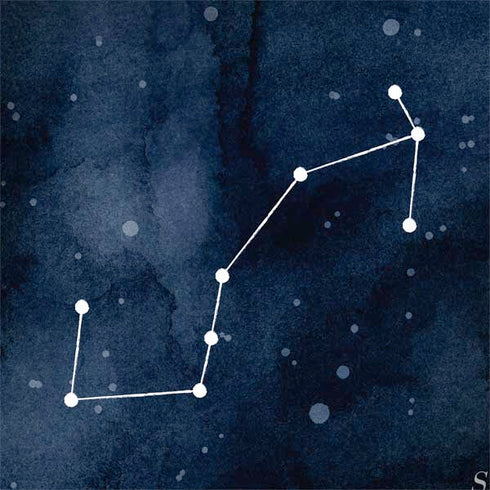 Scorpio Constellation MacBook Skins