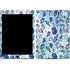 Sea Shell Variety iPad Skins