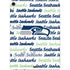 NFL Seattle Seahawks Print Apple iPad Air Skin