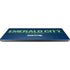 NFL Seattle Seahawks Team Motto Surface Laptop 7 13.8in Skin