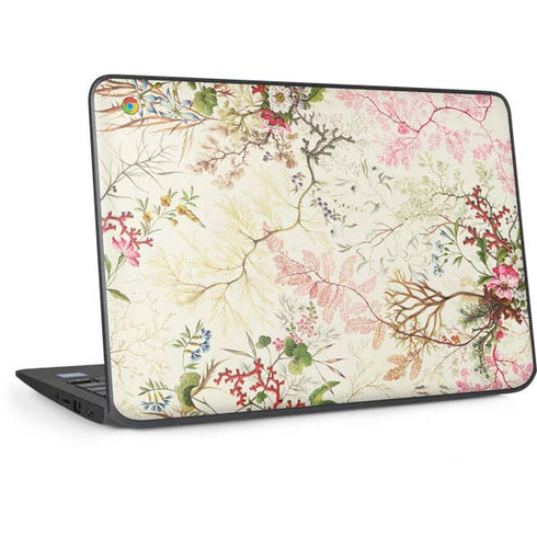 Seaweed on Silk Paper by William Kilburn HP Chromebook Skin